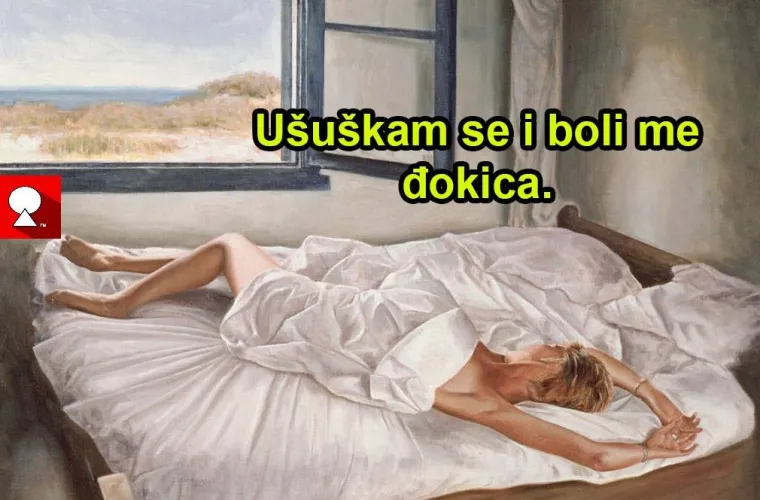 'Sekić' i 'Sekoslav' glavni su likovi 'Sumljam', fotka s kojima se svi možemo poistovjetiti