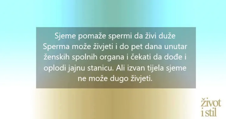 8 stvari koje bi svaka žena trebala znati o spermi