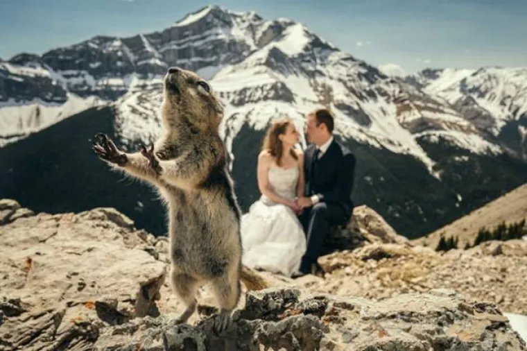 FOTKE KOJE NE ŽELE NITI JEDNI MLADENCI: Fotografi na vjenčanjima zabilježe vrlo bizarne slike