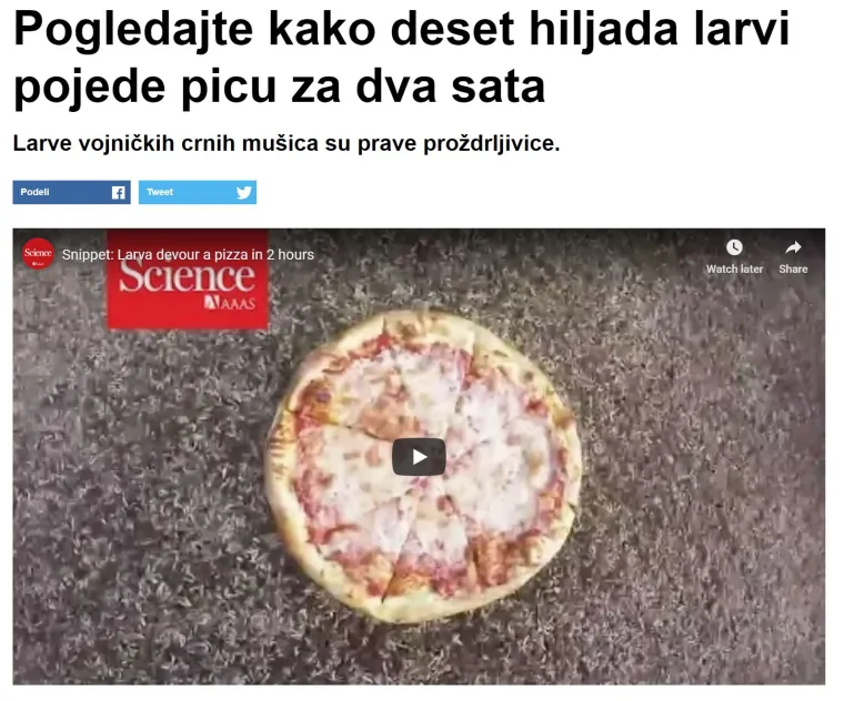 Pogledajte ovaj popis najbizarnijih članaka srpskog Vicea koje apsolutno nitko nije tražio