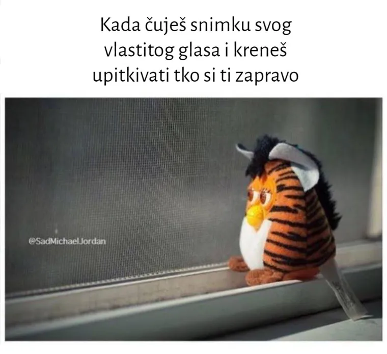 Meme koje će vas natjerati da kažete "Zašto ste napravili ovu galeriju o meni?"