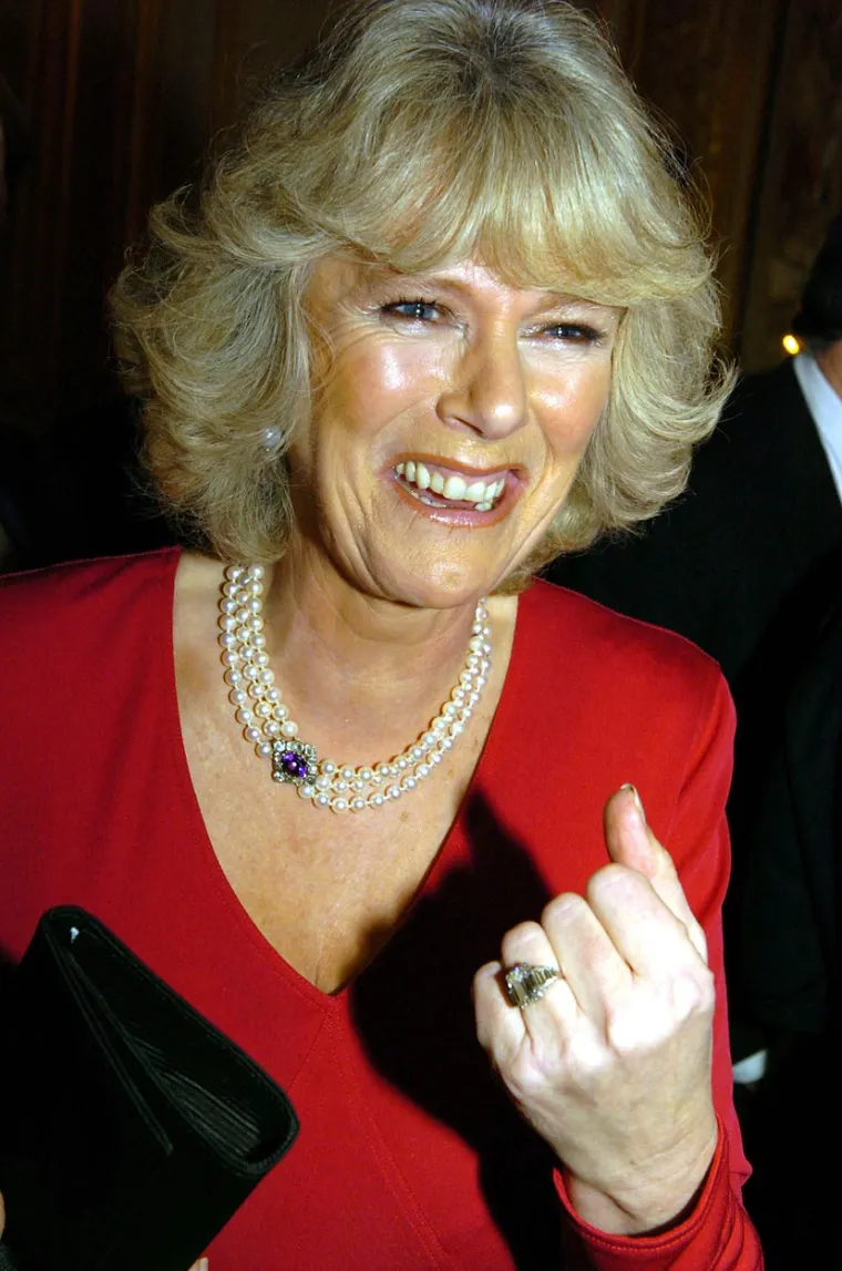 Objasnila je: &quot;Napadi princa Harryja na njegovu maćehu, kraljicu suprugu, nepotrebni su i bezrazložno gadni. Camilla je uvijek bila ljubazna prema Harryju i jako je pazila da se drži izvan njegove orbite. Neizbježno je upoznala Williama, ali bilo je to slučajno. Bila je nervoznija od njega i priznala je da joj je nakon toga trebalo žestoko piće&quot;, rekla je. 

