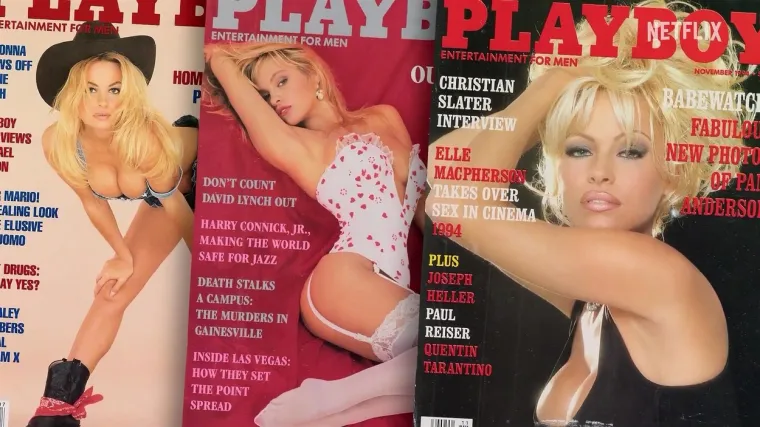 Nedugo nakon što su se vjenčali, mladenci su snimili pornouradak i eksplicitne fotografije namijenjene samo njihovim očima. Snimka s oznakom &quot;X&quot; zagorčala im je život. Otprilike u to vrijeme, 1995., električar Rand Gauthier počeo je raditi na posjedu para. Nakon što mu je Tommy Lee dao otkaz, nezadovoljni bivši zaposlenik tražio je osvetu. Gauthier se kasnije ušuljao natrag na posjed i ukrao sef u nadi da sadrži novac i dragocjenosti. Umjesto toga, u sefu je pronašao snimku seksa koju je distribuirao &quot;Internet Entertainment Group&quot;, otkrio je Hollywood Reporter. Gauthier je zaradio 77 milijuna dolara u 12 mjeseci. 