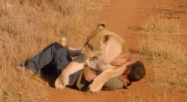 5. Kevin Richardson sebe oponašateljem životinja. Naime, on može komunicirati s lavovima na prijateljski, gotovo intiman način. Richardson je odrastao u Johannesburgu u Južnoj Africi, daleko od divljih životinja. Odlučio je studirati zoologiju, ali u početku nije uspio i gotovo je prekinuo karijeru znanstvenika. S dvadeset i tri godine bio je fiziolog koji je radoznalo počeo raditi s mladuncima lavova. Ovo iskustvo vratilo mu je strast za radom sa životinjama. Richardson je sada slavna TV osoba za koju je poznato da se bez problema igra s velikim mačkama, lavovima, hijenama i leopardima, a čak im i zapovijeda da sjednu. Kevin može staviti svoju podlakticu u lavlja usta, a da ne bude napadnut. Neki vjeruju da je Richardsonova sposobnost komuniciranja s opasnim životinjama alat za njegovu stvarnu svrhu kao aktivista za divlje životinje. Posjeduje utočište za divlje životinje u Africi radi zaštite životinja i podizanja svijesti.