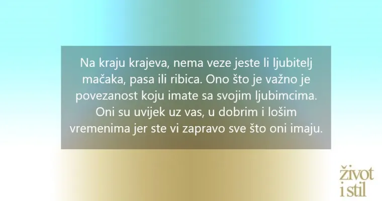 Razlike u karakterima vlasnika mačaka i pasa: Jesu li ljubitelji mačaka inteligentniji ljudi?