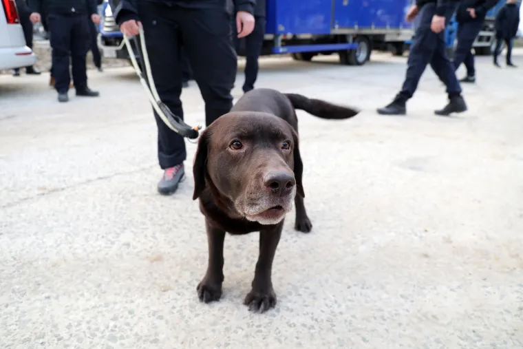 I Gizmo je krenuo na put u Tursku: U pomoć unesrećenima iz Hrvatske otišlo 10 pasa i 40 pripadnika civilne zaštite