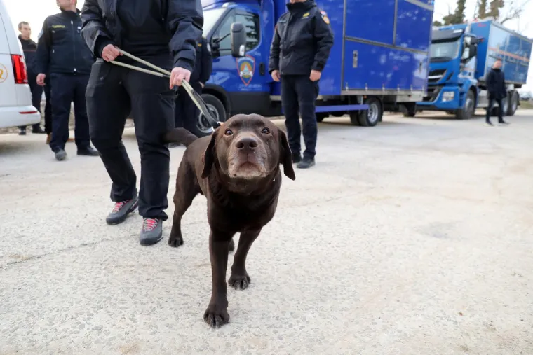 I Gizmo je krenuo na put u Tursku: U pomoć unesrećenima iz Hrvatske otišlo 10 pasa i 40 pripadnika civilne zaštite
