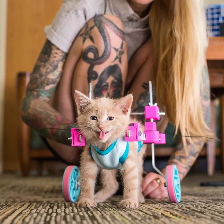 Ovo su najfora stvari koje su ljudi isprintali koristeći svoje 3D printere