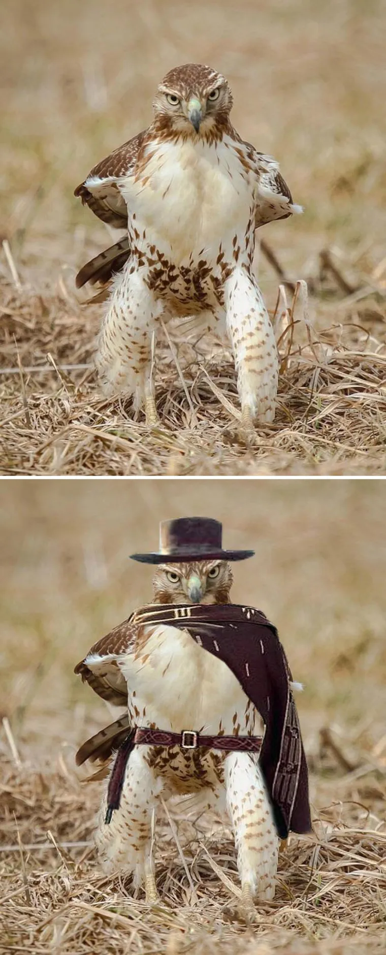 Foto šoping: Ovo su pobjednici natjecanja u Photoshopu koji se odvio na Redditu