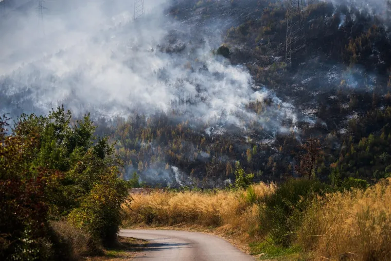 Tri vatrogasca ozlijeđena u zastrašujućem požaru u Žrnovnici: Ovako jutro poslije izgleda požarište