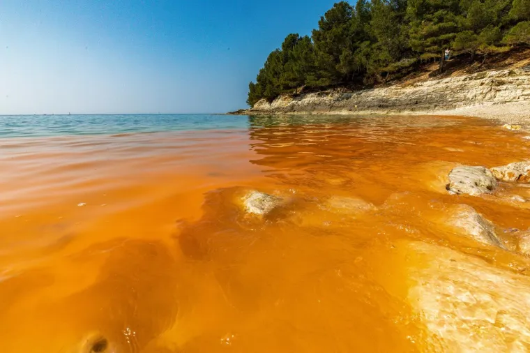 BIZARNE BOJE NA PULSKIM PLAŽAMA: Pogledajte ove prizore; nije ništa misteriozno, uzrok je sasvim očekivan