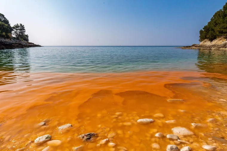 BIZARNE BOJE NA PULSKIM PLAŽAMA: Pogledajte ove prizore; nije ništa misteriozno, uzrok je sasvim očekivan