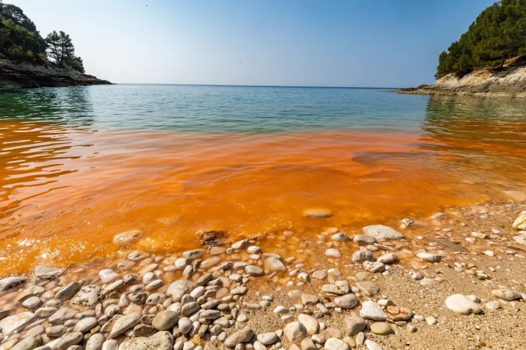 BIZARNE BOJE NA PULSKIM PLAŽAMA: Pogledajte ove prizore; nije ništa misteriozno, uzrok je sasvim očekivan