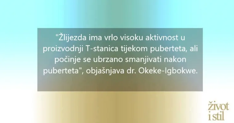 7 fascinantnih stvari koje vam nitko nije rekao o imunološkom sustavu