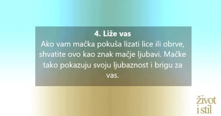 Voli li vas vaša mačka? Kako vam maca pokazuje ljubav