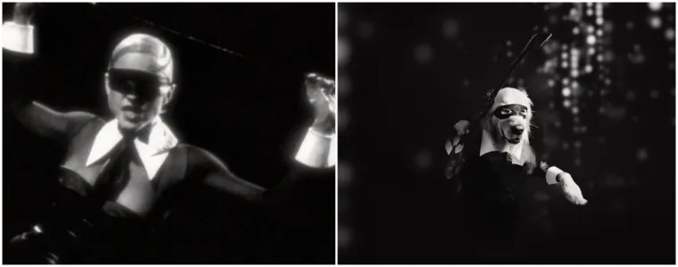 Prima donna: Ovaj pas je savršeno iskopirao sve Madonnine ikonske fotografije