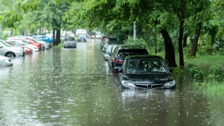 3. Voda je povezana s mnogim drugim ekološkim pitanjima: Svjetski dan voda ima godišnju temu, poput &apos;Priroda za vodu&apos;, koja je posvećena pronalaženju prirodnih rješenja za naše krize s vodom. Mnogi ekološki problemi s kojima se nosimo međusobno su povezani — klimatske promjene i degradacija ekosustava povezani, a ponekad i izravni uzroci, onečišćenja vode, poplava i suša.
