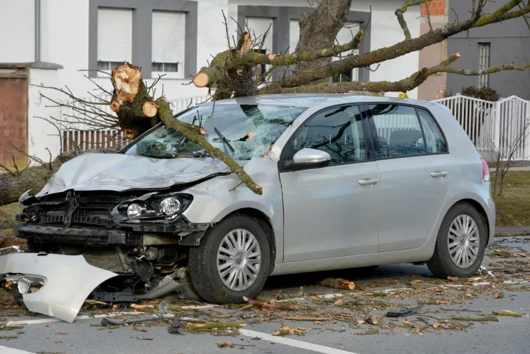DRAMA U SLAVONIJI: Pogledajte kako je stablo palo na automobil u vožnji