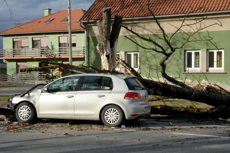 DRAMA U SLAVONIJI: Pogledajte kako je stablo palo na automobil u vožnji