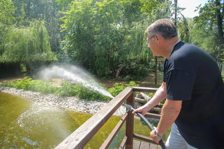 Zanima vas kako se životinje štite od vrućina? U zagrebačkom ZOO-u rashlađuju se ledenim poslasticama!