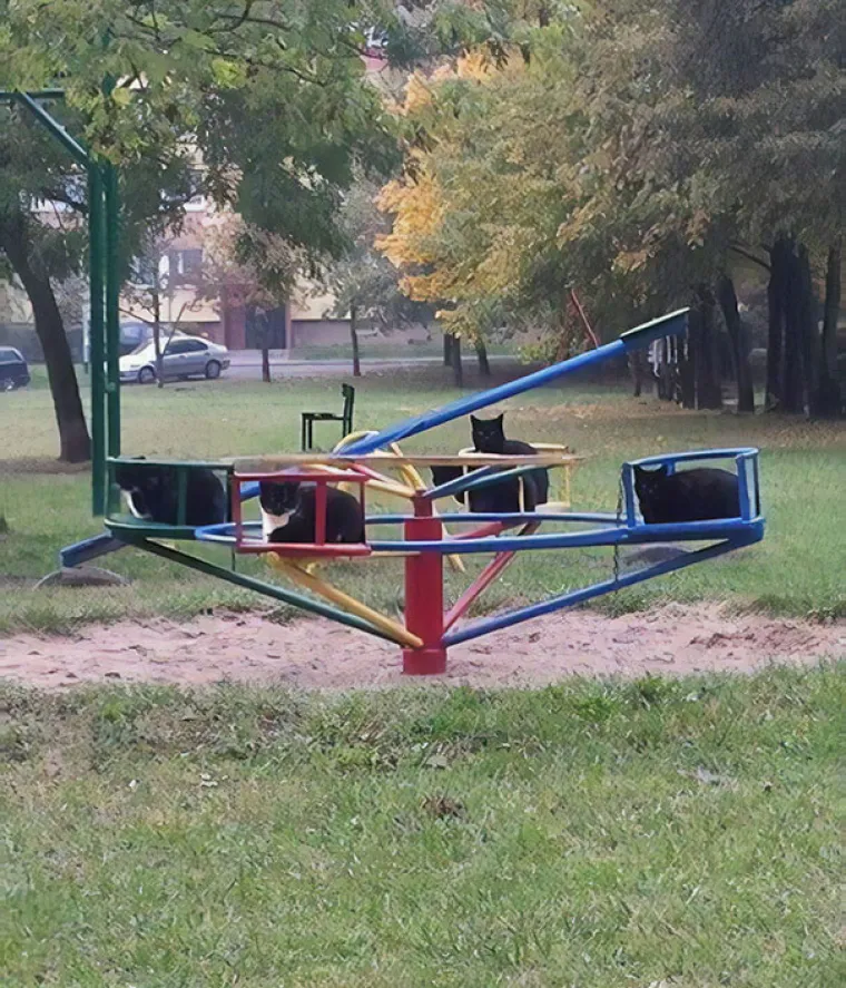 Mačke na igralištu