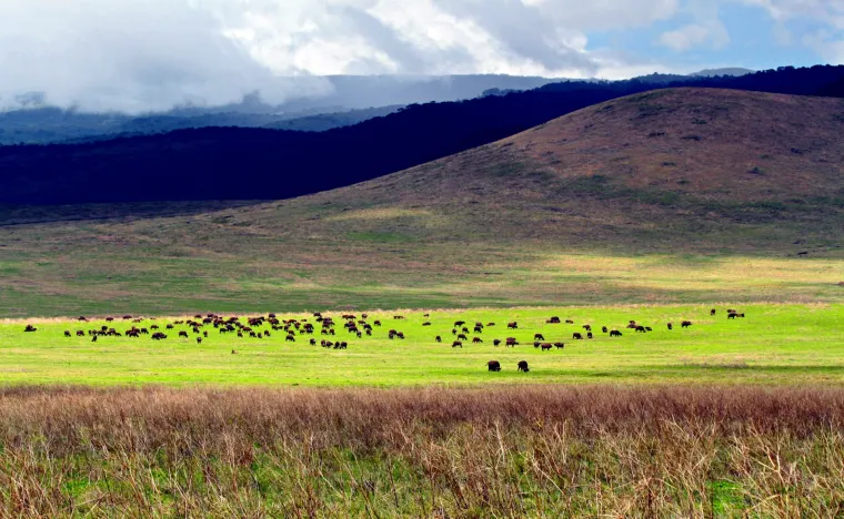 Krater Ngorongoro u Tanzaniji  je najveća neaktivna, netaknuta i prazna vulkanska kaldera.
