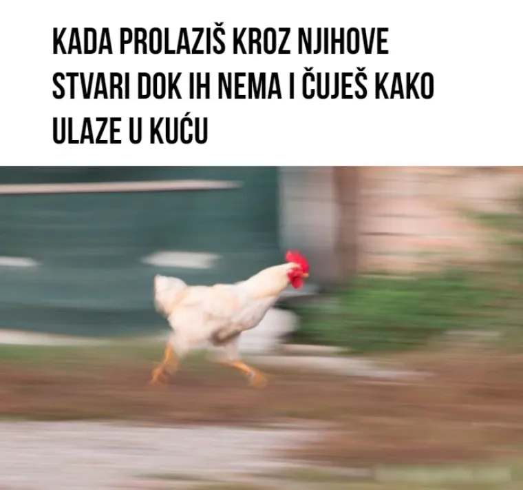 15 mema koji će razumjeti oni koji su bili te (ne)sreće da imaju brata ili sestru