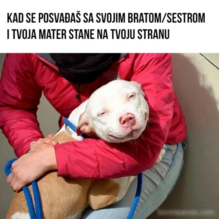 15 mema koji će razumjeti oni koji su bili te (ne)sreće da imaju brata ili sestru