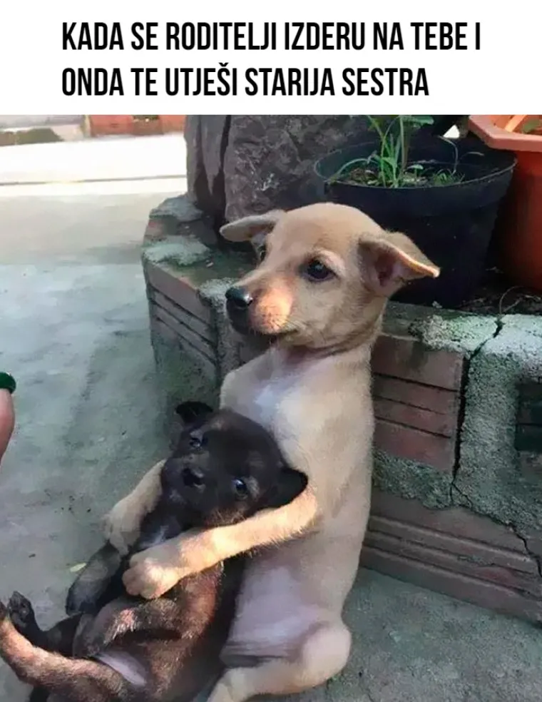 15 mema koji će razumjeti oni koji su bili te (ne)sreće da imaju brata ili sestru