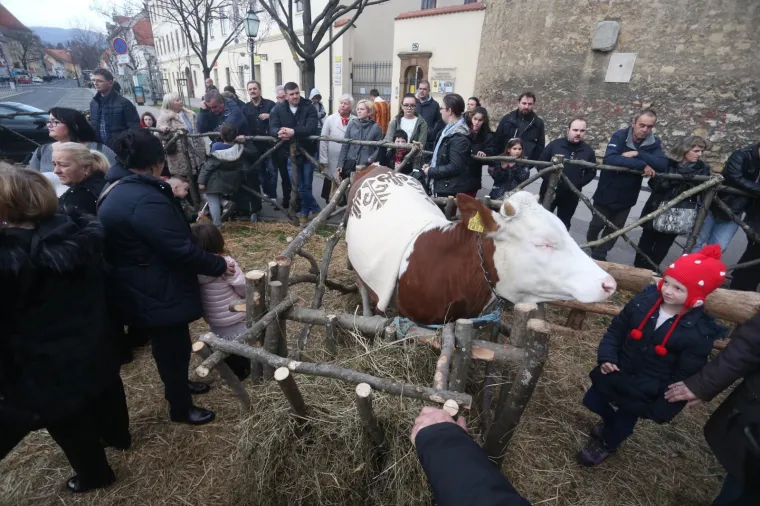 POGLEDAJTE ŽIVE JASLICE ISPRED ZAGREBAČKE KATEDRALE: Zajednica Cenacolo uprizorila rođenje Isusovo na Kaptolu