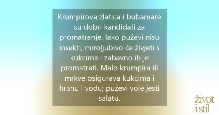 Tri savjeta kako pomoći djeci da se oslobode straha od insekata