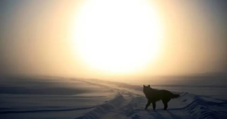 ŽIVOT U NAJHLADNIJEM SELU NA SVIJETU MOŽE SVEJEDNO BITI ZABAVAN: Temperature padaju na -70 stupnjeva, ali oni su se navikli