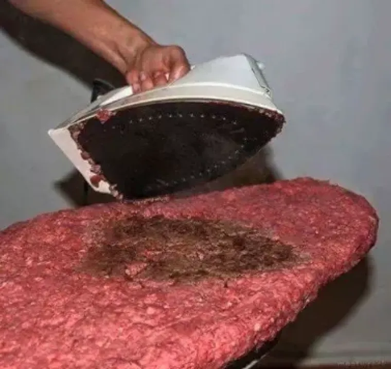 Fotografije koje će vas natjerati da preispitate svrhu ljudskog roda