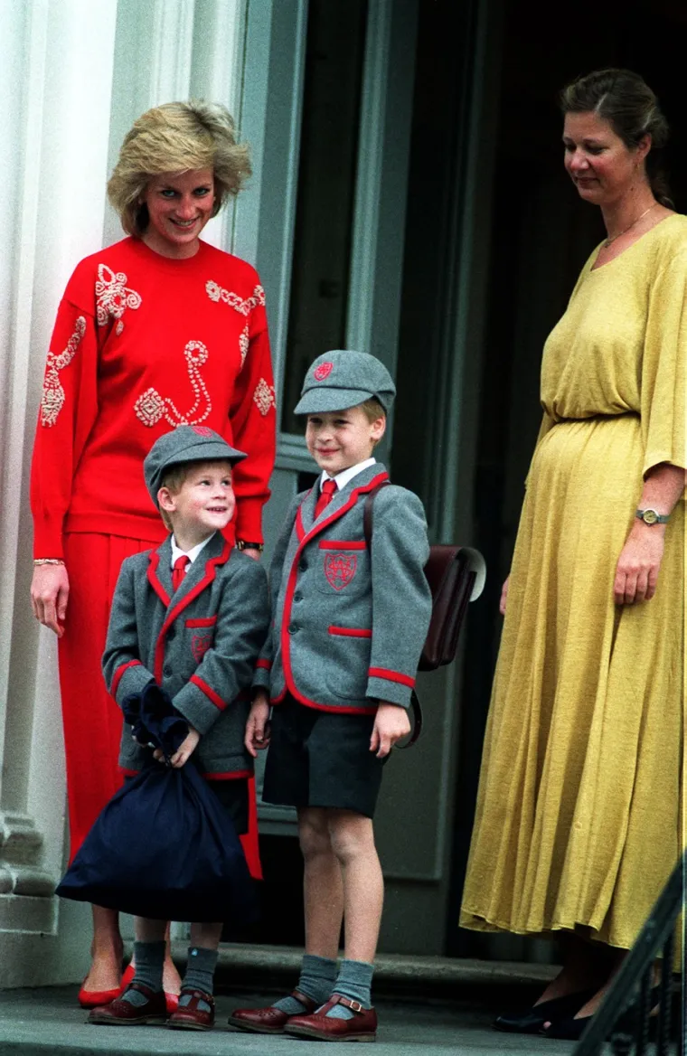 Princ Harry i William s Dianom