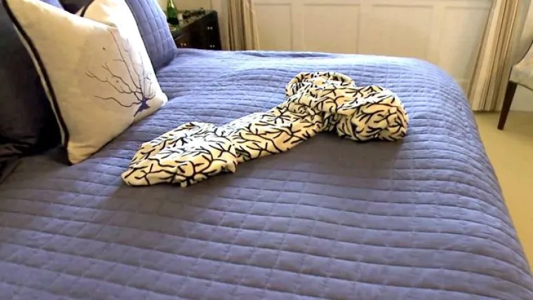 Nikada ne biste pomislili od čega se sve može napraviti penis...