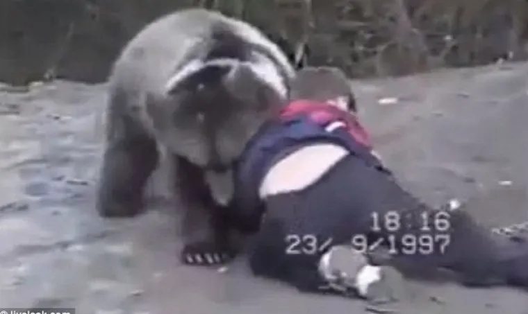 Ovo je snimka iz 1997. malog Khabiba Nurmagomedova, kako se u Sil&apos;di hrva s malim medvjedom. 