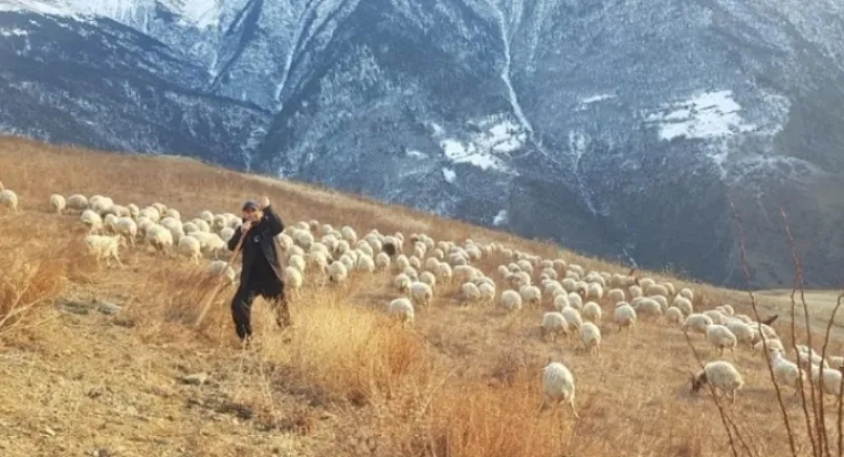 Stanovništvo u Sil&apos;di se bavi poljoprivredom i uzgojem koza i ovaca, a u selo mjesečno dolaze kamione koji dostavlja namirnice za život. No, upravo ta surovost i izoliranost sela i dagestanskih planina, nudi i bolju fokusiranost i posvećenost treninzima.