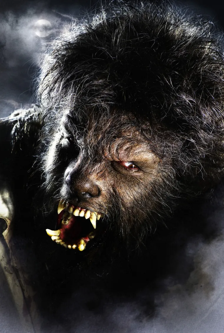 Zanimljivo, nekoć se držalo da vukodlaci nakon smrti postaju vampiri. U Istri i Sloveniji naziva za vukodlaka i vampira je istovjetan i glasi kudlak, slično je i u Albaniji gdje se vampira naziva vrykolakas ili vurkolak.