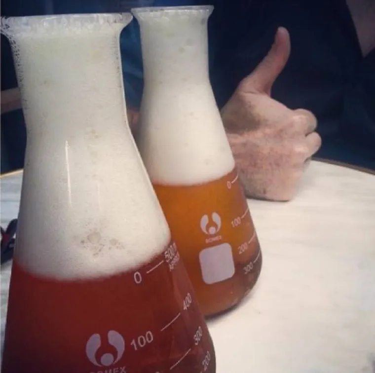 Hipstersko pivo