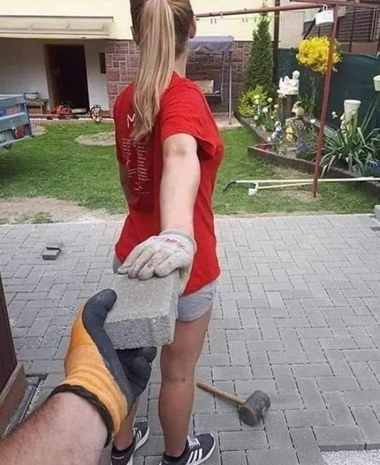Ljubav pršti svuda oko nas, pa čak i u životinjskom svijetu: Njihovi zagrljaji i poljupci osvajaju srca