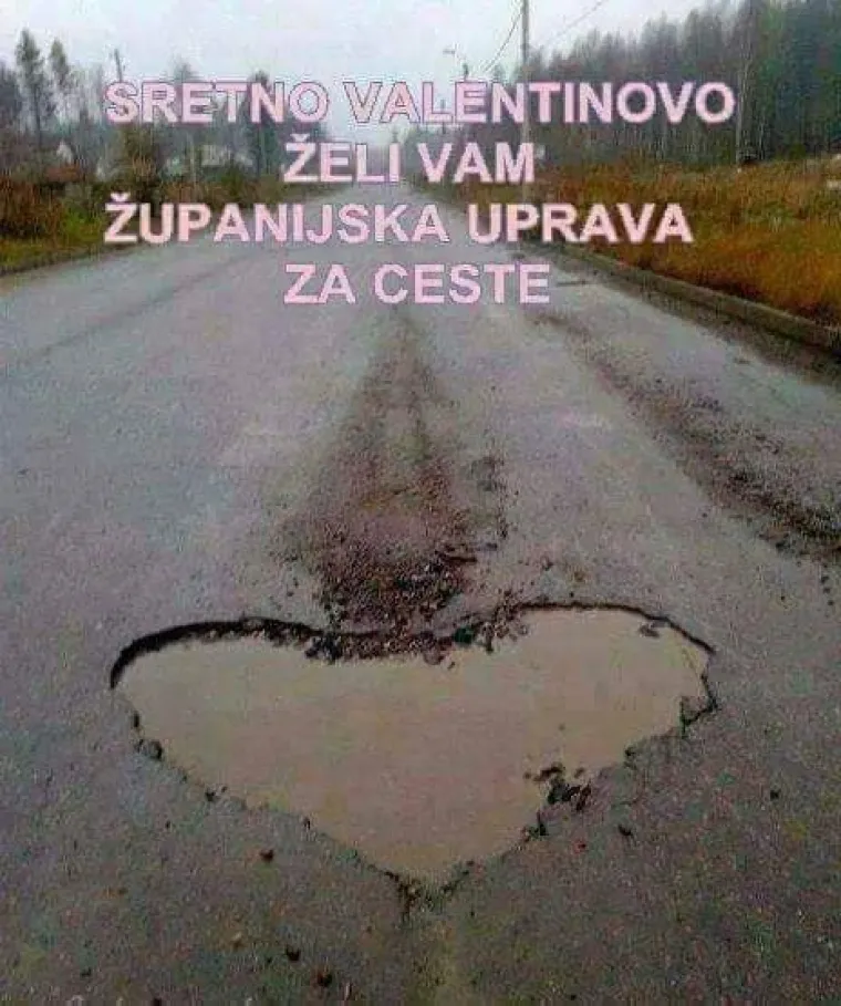 Ljubav pršti svuda oko nas, pa čak i u životinjskom svijetu: Njihovi zagrljaji i poljupci osvajaju srca
