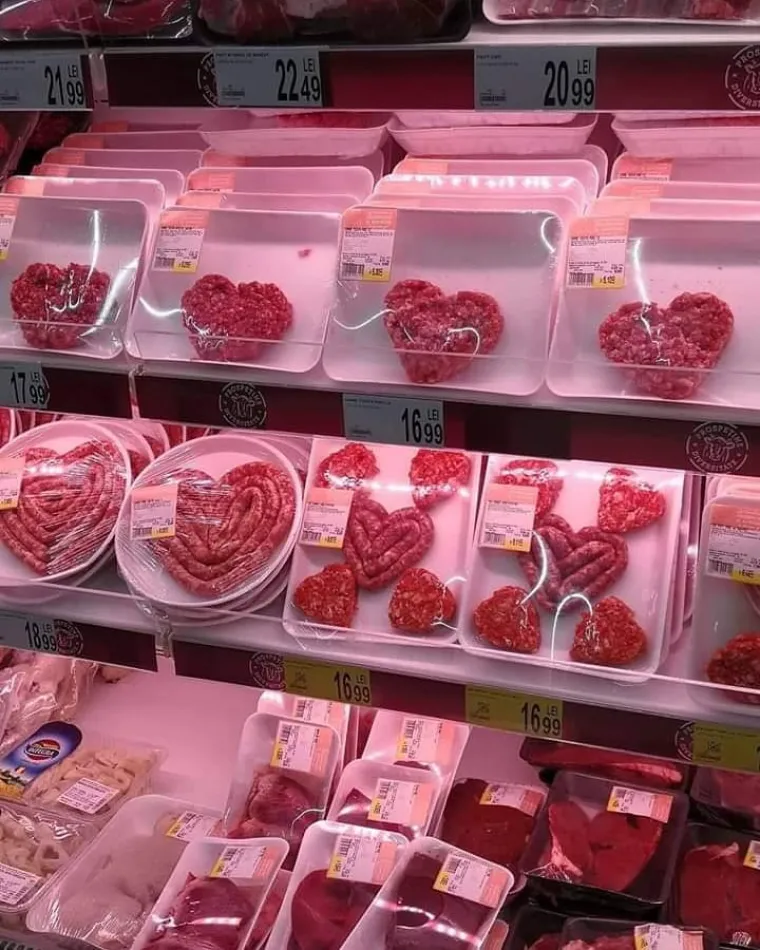 Ljubav pršti svuda oko nas, pa čak i u životinjskom svijetu: Njihovi zagrljaji i poljupci osvajaju srca