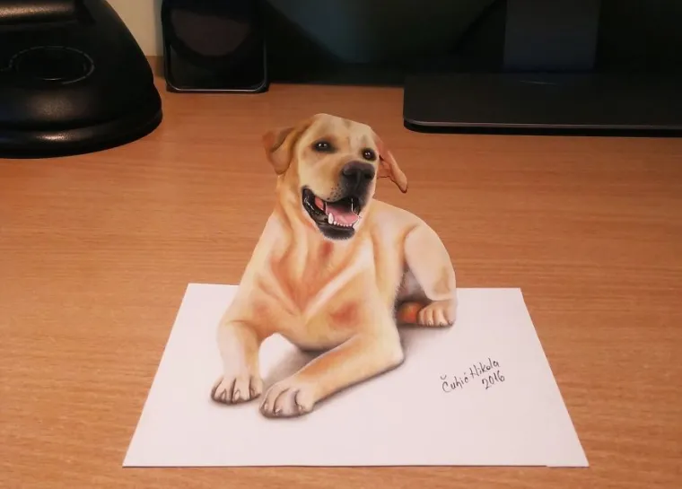 CURE VAM SLINE NA OVAJ SLASTAN KOLAČ? Ali on nije ono što mislite, pogledajte ostale genijalne 3D iluzije
