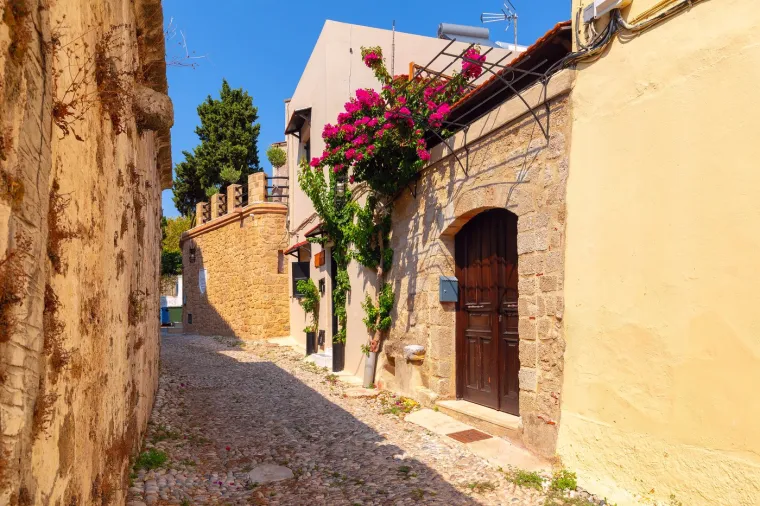 Rodos je poznat po svojim maslinovim drvećem, koje se često koristi u tradicionalnim obredima. Otok je dom starim maslinicima koji proizvode vrhunsko maslinovo ulje.