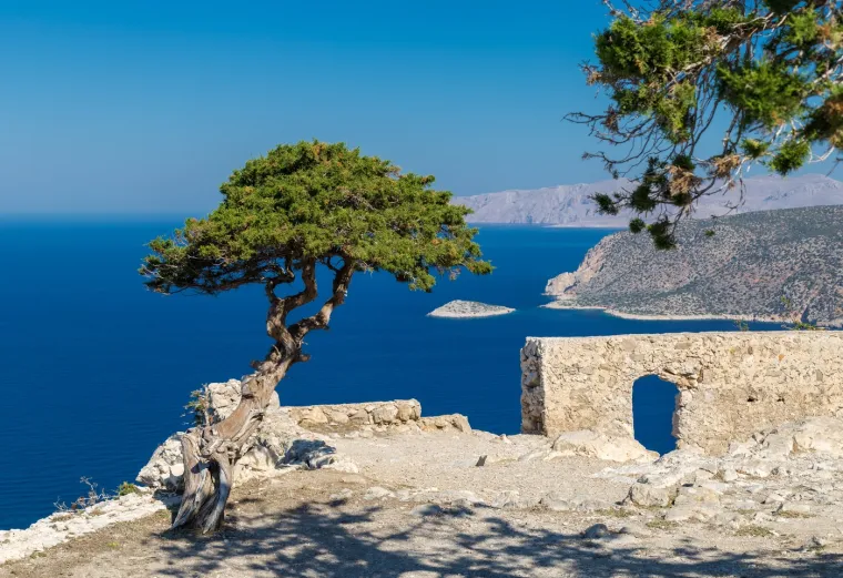 Otok ima bogatu tradiciju pčelarstva i proizvodnje meda. Mještani tradicionalno koriste prirodne sastojke za izradu lijekova i ulja.