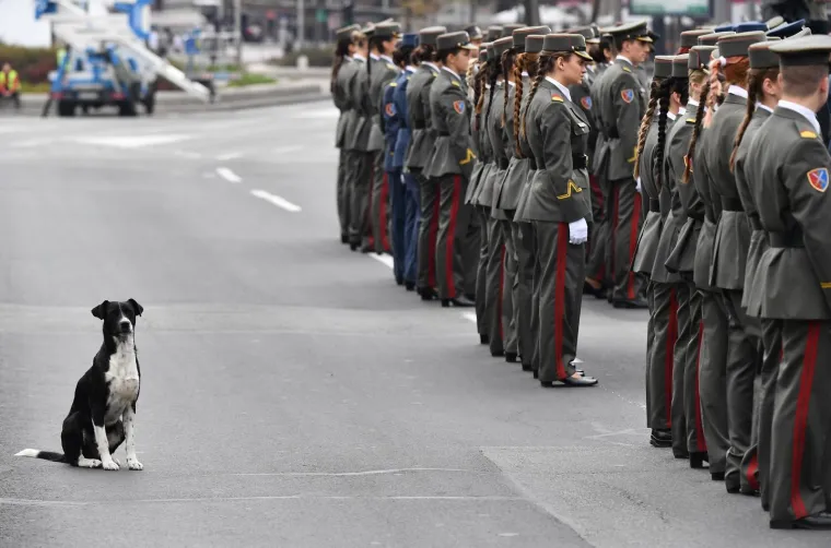 9.9.2017., Beograd, Srbija - Svečanost povodom promocije najmlađih časnika Vojske Srbije ispred Skupštine Srbije. Svečanosti je nazočio i predsednik Srbije Aleksandar Vučić.