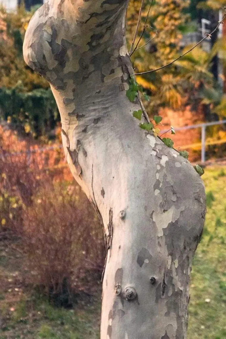 Ako vas ove nevine fotografije podsjete na seks, možda je to znak da vam je vrijeme primiti nekog ispod struka i poći u mrak