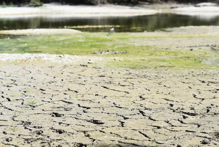 Jezero Bundek gotovo presušilo! Ostalo tek nekoliko centimetara vode, a patkice se više ne mogu kupati...