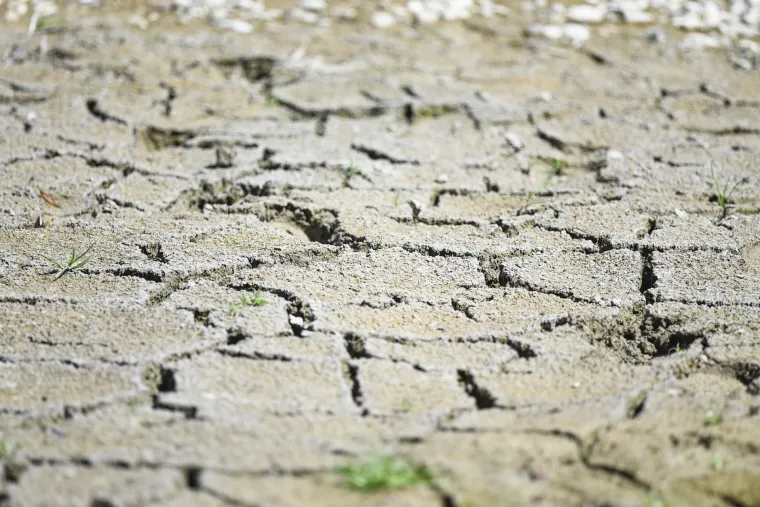 Jezero Bundek gotovo presušilo! Ostalo tek nekoliko centimetara vode, a patkice se više ne mogu kupati...