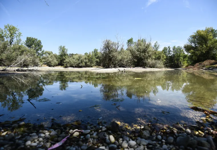 Jezero Bundek gotovo presušilo! Ostalo tek nekoliko centimetara vode, a patkice se više ne mogu kupati...